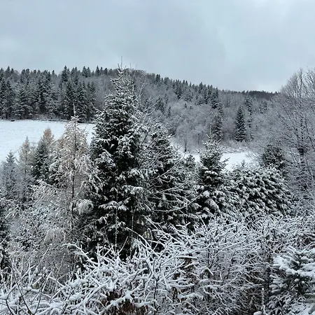 Malinowy Zakatek Chalet *