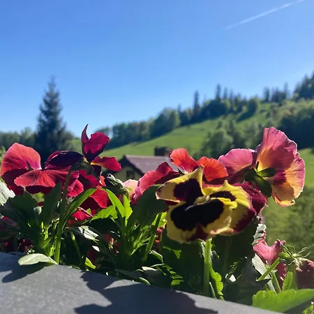 Malinowy Zakatek Chalet *