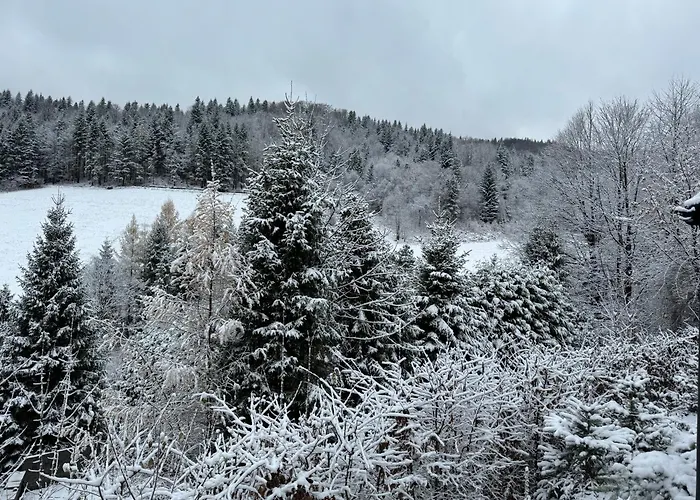 Malinowy Zakatek Шале *