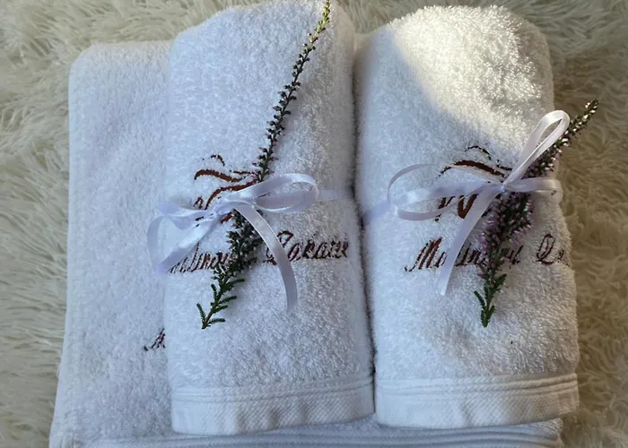 Malinowy Zakatek Шале Висла