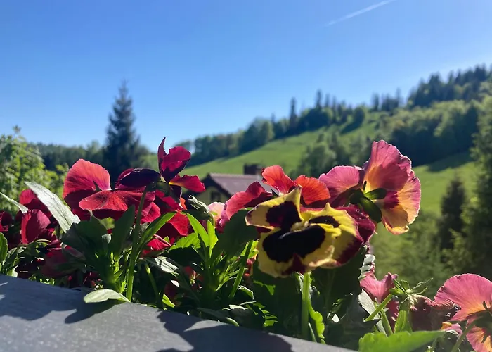 Malinowy Zakatek Шале *